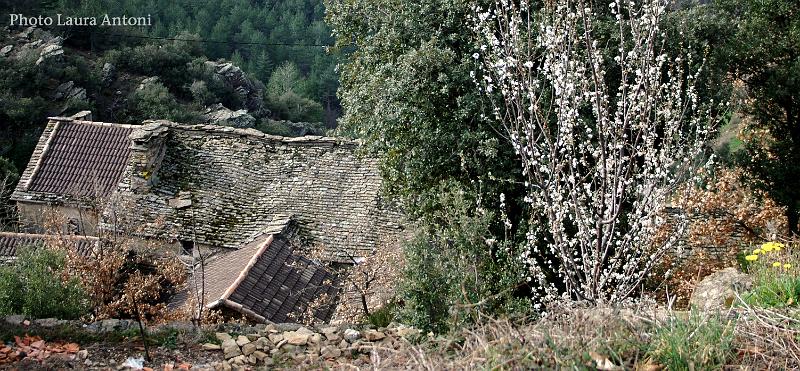 Hameau de Salveplane (1)