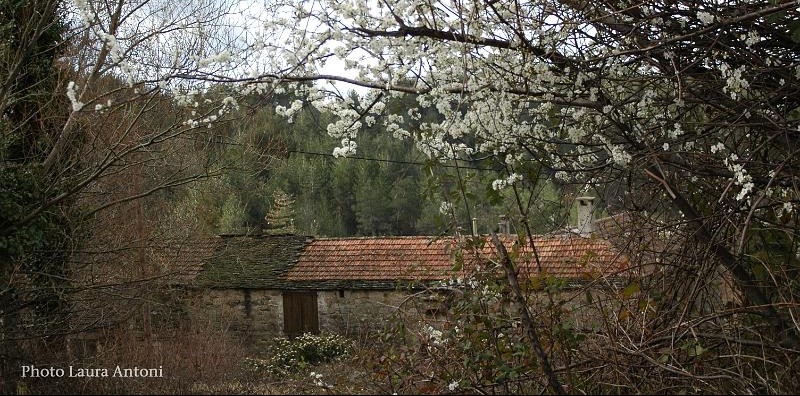 Hameau des Pauses (3)