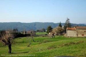 Le village d'Aujac (15)