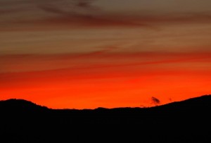 les photos du mois-2