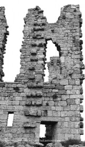 La garde Guerin (59)