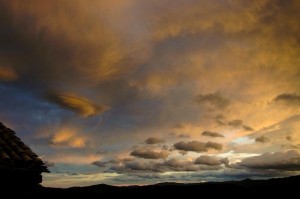 DSC_6068