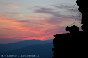 le paysage autour du gite (36) 