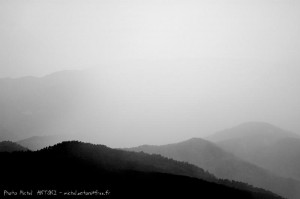 le paysage autour du gite (40) 