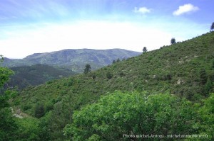 le paysage autour du gite (5)