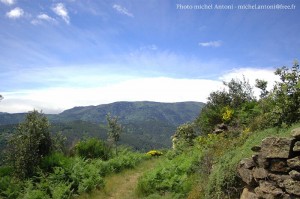 Photos de Antoni michel