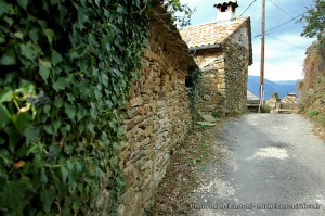 Le hameau des Bouschets (21)  