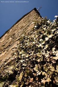 Le hameau des Bouschets (39)  