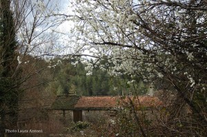 Hameau des Pauses (3) 