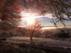 Aujac hiver 2015 2016