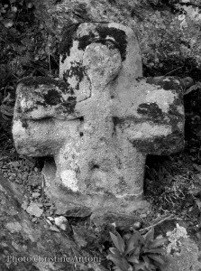 la pierre des hautes cevennes (16)