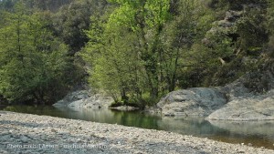 la rivire au pont de souillas (18)  