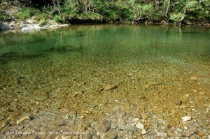 la rivire au pont de souillas (22)  