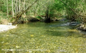 la rivire au pont de souillas (27)  