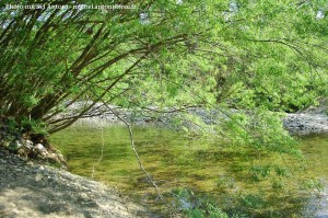 la rivire au pont de souillas (29)  