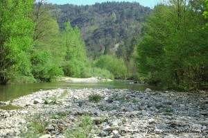 la rivire au pont de souillas (3)  