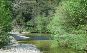 la rivire au pont de souillas (5)  
