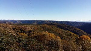 photos telephone 2015 580 (1)  