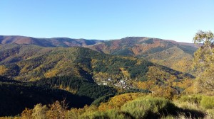 photos telephone 2015 583  