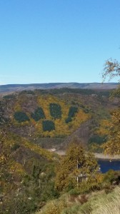 photos telephone 2015 586  