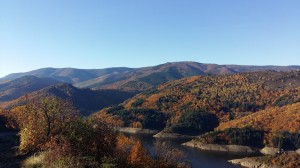 photos telephone 2015 600  