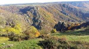 photos telephone 2015 606  