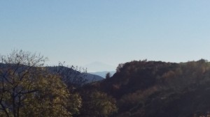 photos telephone 2015 607  