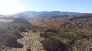 photos telephone 2015 611 (1)  